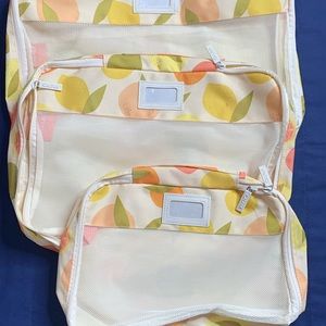 FabFitFun 3 CALPAK Packing Cubes in Tutti Frutti